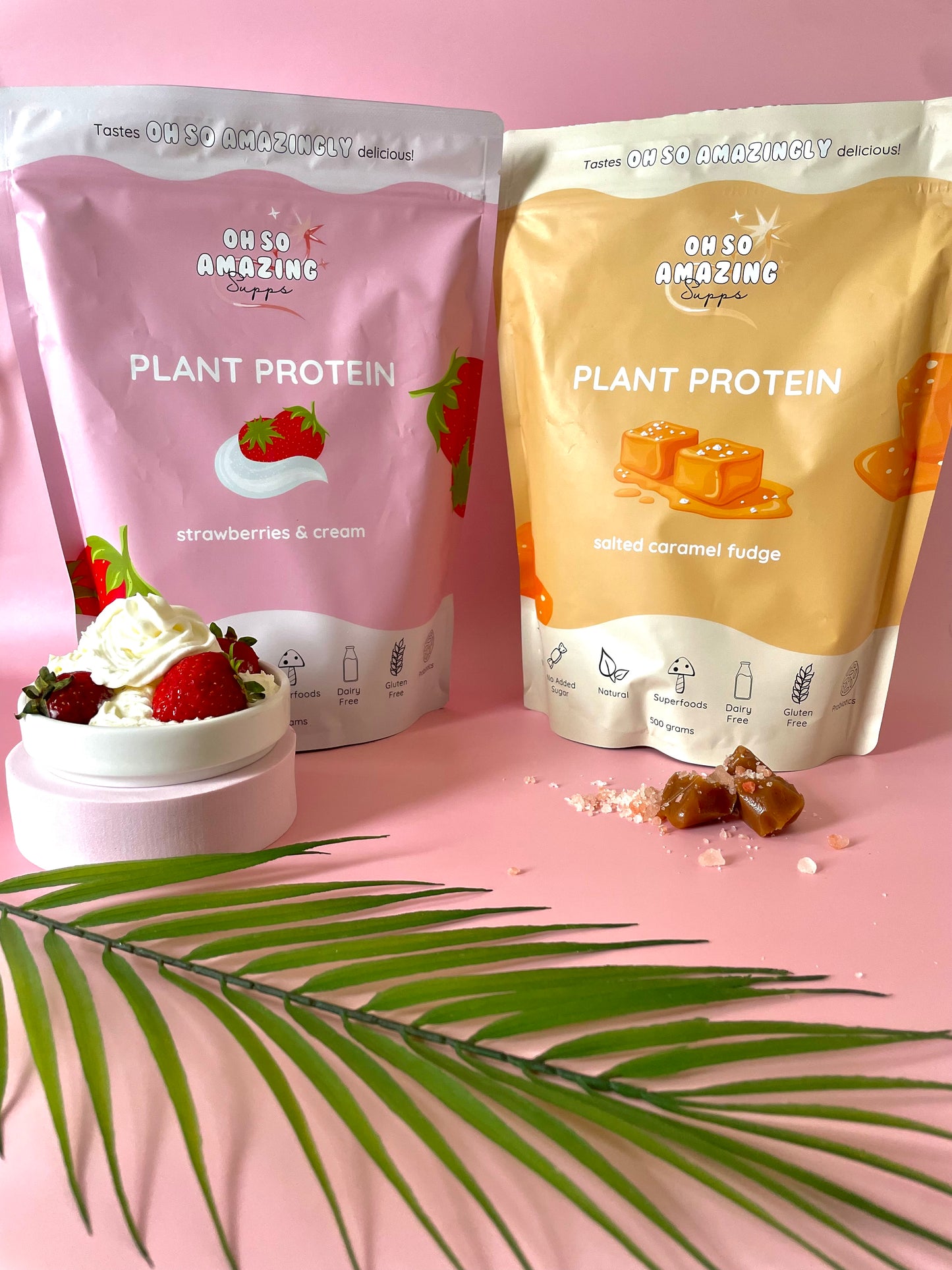 best vegan protein powder